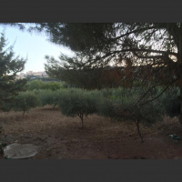 To Sicily: A night in the Valley of the Temples