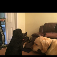 Vance greets Ben and Usher rather noisily