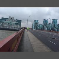 Guide dog working diary 2016: Day 26b - A blustery walk to work