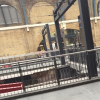 Guide dog working diary 2016: Day 30a - Crossing London with guy dog and suitcase