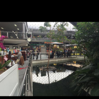 Madrid 2016: Tropical trainshed at Atocha