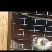 Morning in South Lincolnshire