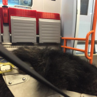 Early-morning change at Waterloo