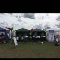 Steel drummers at the Fawley Steam Fair 2016