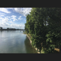 Strasbourg Weekend: Walking back to Strasbourg