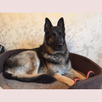 Last days with Vance: Christmas dramas and a day of rest