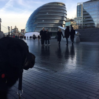 Guide dog training diary 2016: Day 14e - Southbank Walk Part 5