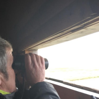 In a bird hide at Rye Harbour Nature Reserve