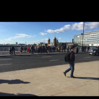 No sheep herding on London Bridge (September 2015)