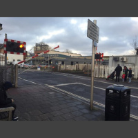 Guide dog training diary 2016: Day 16b - An unusual obstacle