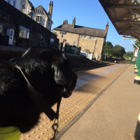 Reflecting on a weekend in Yorkshire earlier in the summer