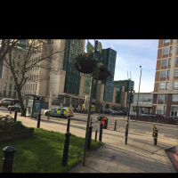 Guide dog training diary 2016: Day 14a - Southbank Walk Part 1