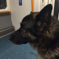 Guardian angels out at Waterloo station