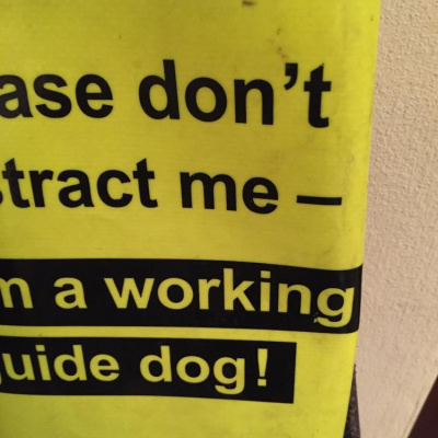 Robert Johnsons Posts