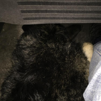 Robert Johnsons Posts