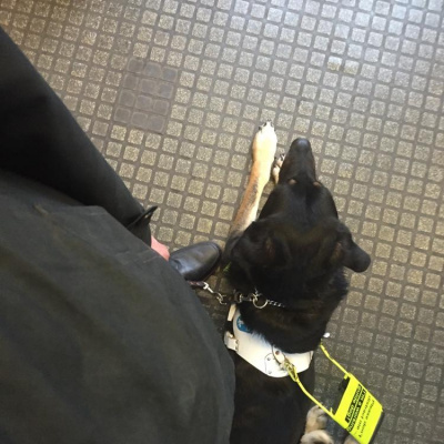 Robert Johnsons Posts