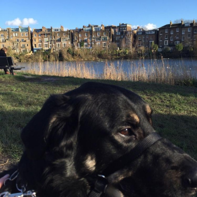 Robert Johnsons Posts