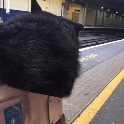 Robert Johnsons Posts