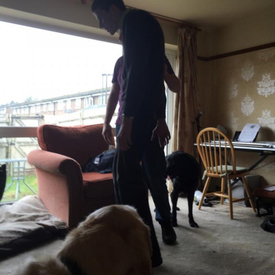 Robert Johnsons Posts