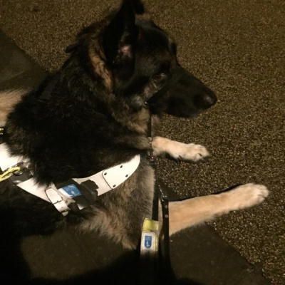 Robert Johnsons Posts