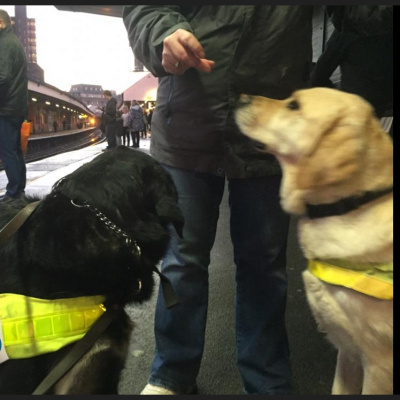 Robert Johnsons Posts