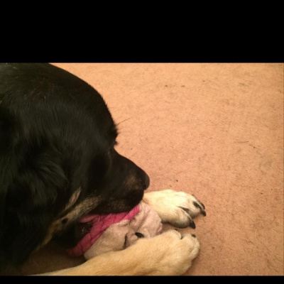 Robert Johnsons Posts