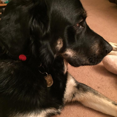 Robert Johnsons Posts