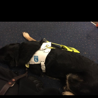 Robert Johnsons Posts