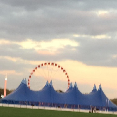 Robert Johnsons Posts