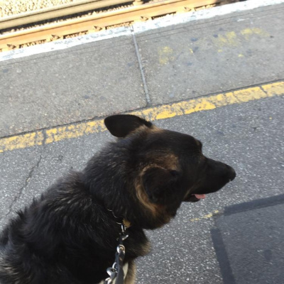 Robert Johnsons Posts