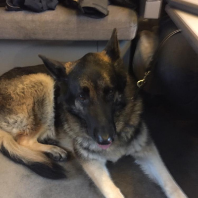 Robert Johnsons Posts