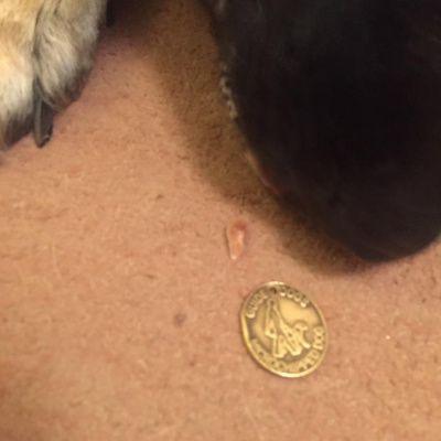 Robert Johnsons Posts