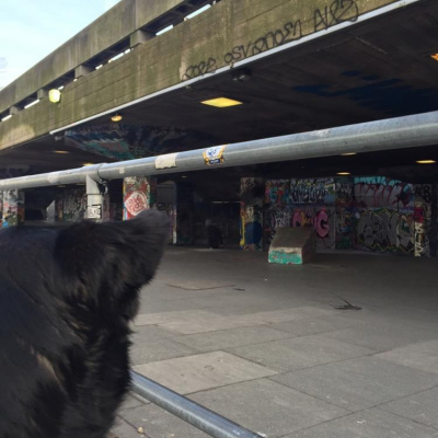 Robert Johnsons Posts