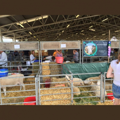 Robert Johnsons Posts