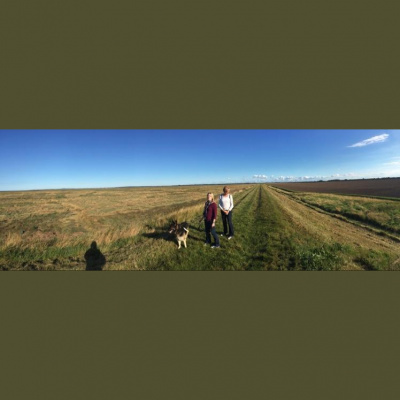 Robert Johnsons Posts