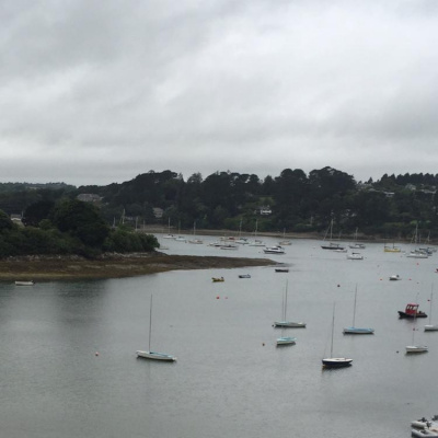 Robert Johnsons Posts