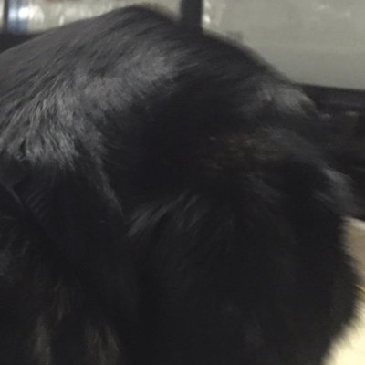 Robert Johnsons Posts