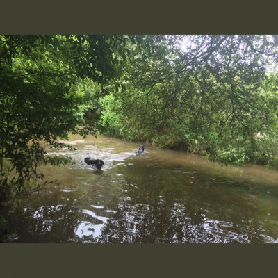 Robert Johnsons Posts