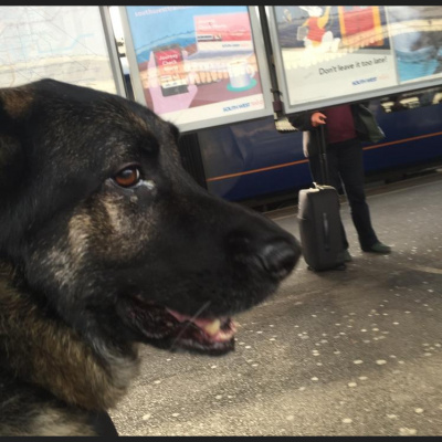 Robert Johnsons Posts