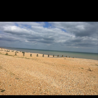 Robert Johnsons Posts