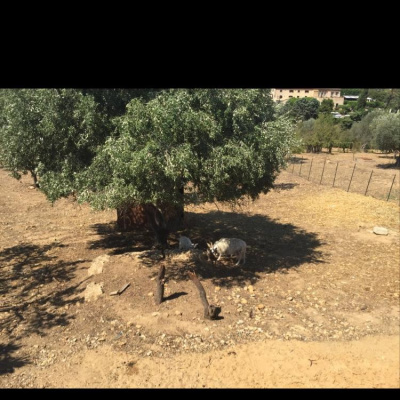 Robert Johnsons Posts