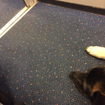 Robert Johnsons Posts