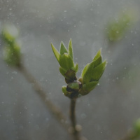 138: How one restorative practice turned a troublemaker into a school leader