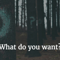 76: Its your turn. What do you want?