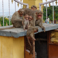 №2 Работа в Индии