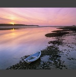 Emotional Eating Discussion