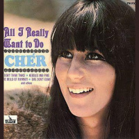 Music Memories 203 Cher