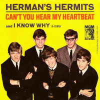 Music Memories 482 Hermans Hermits