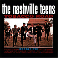 Music Memories 424 The Nashville Teens