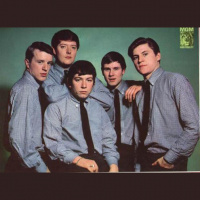 Music Memories 300 The Animals